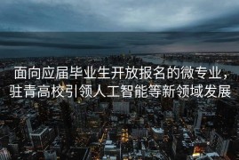 面向应届毕业生开放报名的微专业，驻青高校引领人工智能等新领域发展