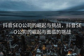 抖音SEO公司的崛起与挑战，抖音SEO公司的崛起与面临的挑战
