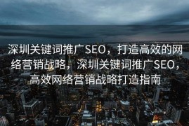 深圳关键词推广SEO，打造高效的网络营销战略，深圳关键词推广SEO，高效网络营销战略打造指南