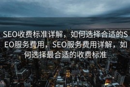 SEO收费标准详解，如何选择合适的SEO服务费用，SEO服务费用详解，如何选择最合适的收费标准