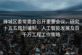 禅城区委常委会召开重要会议，研究十五五规划编制、人工智能发展及百千万工程工作策略