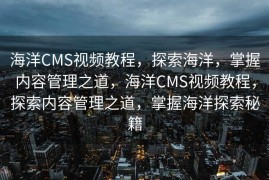 柴叔SEO，引领搜索引擎优化的新时代先锋，柴叔SEO，新时代搜索引擎优化的引领者