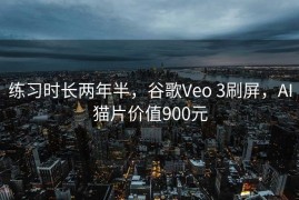 练习时长两年半，谷歌Veo 3刷屏，AI猫片价值900元