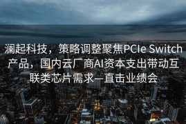 澜起科技，策略调整聚焦PCIe Switch产品，国内云厂商AI资本支出带动互联类芯片需求—直击业绩会