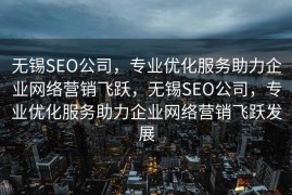 无锡SEO公司，专业优化服务助力企业网络营销飞跃，无锡SEO公司，专业优化服务助力企业网络营销飞跃发展