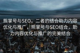 熊掌号与SEO，二者的结合助力内容优化与推广，熊掌号与SEO结合，助力内容优化与推广的完美结合