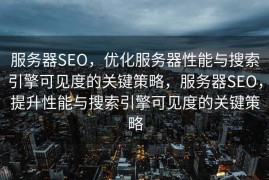 服务器SEO，优化服务器性能与搜索引擎可见度的关键策略，服务器SEO，提升性能与搜索引擎可见度的关键策略
