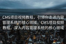 CMS项目视频教程，引领你走进内容管理系统的核心领域，CMS项目视频教程，深入内容管理系统的核心领域