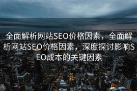 全面解析网站SEO价格因素，全面解析网站SEO价格因素，深度探讨影响SEO成本的关键因素