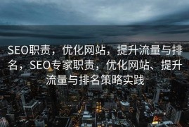 SEO职责，优化网站，提升流量与排名，SEO专家职责，优化网站、提升流量与排名策略实践