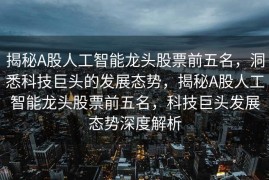 揭秘A股人工智能龙头股票前五名，洞悉科技巨头的发展态势，揭秘A股人工智能龙头股票前五名，科技巨头发展态势深度解析