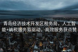 青岛经济技术开发区税务局，人工智能+纳税服务双驱动，高效服务获点赞