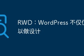 RWD：WordPress 不仅仅可以做设计