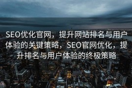 SEO优化官网，提升网站排名与用户体验的关键策略，SEO官网优化，提升排名与用户体验的终极策略
