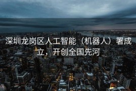 深圳龙岗区人工智能（机器人）署成立，开创全国先河