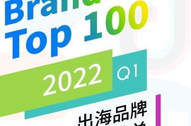 Onesight：2022年第一季度BrandOS TOP100出海品牌社媒影响力榜单-2025最新seo资料