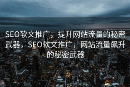 SEO软文推广，提升网站流量的秘密武器，SEO软文推广，网站流量飙升的秘密武器