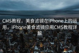 CMS教程，美食滤镜在iPhone上的运用，iPhone美食滤镜应用CMS教程详解
