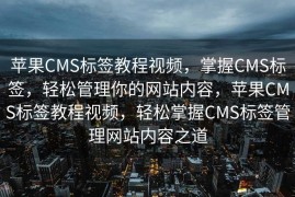苹果CMS标签教程视频，掌握CMS标签，轻松管理你的网站内容，苹果CMS标签教程视频，轻松掌握CMS标签管理网站内容之道