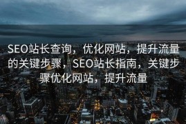 SEO站长查询，优化网站，提升流量的关键步骤，SEO站长指南，关键步骤优化网站，提升流量