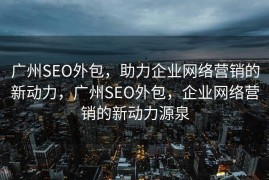 广州SEO外包，助力企业网络营销的新动力，广州SEO外包，企业网络营销的新动力源泉