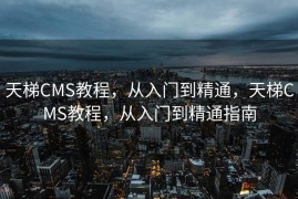 天梯CMS教程，从入门到精通，天梯CMS教程，从入门到精通指南