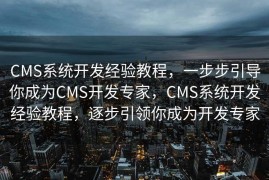 CMS系统开发经验教程，一步步引导你成为CMS开发专家，CMS系统开发经验教程，逐步引领你成为开发专家