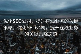 优化SEO公司，提升在线业务的关键策略，优化SEO公司，提升在线业务的关键策略之道