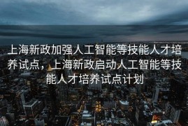 上海新政加强人工智能等技能人才培养试点，上海新政启动人工智能等技能人才培养试点计划