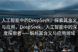 人工智能中的DeepSeek，探索其含义与应用，DeepSeek，人工智能中的深度探索者——解析其含义与应用领域