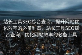 站长工具SEO综合查询，提升网站优化效率的必备利器，站长工具SEO综合查询，优化网站效率的必备工具