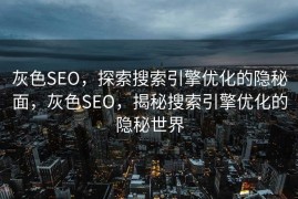 灰色SEO，探索搜索引擎优化的隐秘面，灰色SEO，揭秘搜索引擎优化的隐秘世界