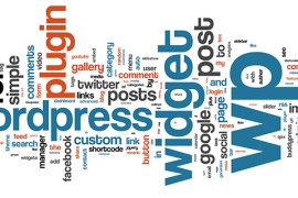 哪个浏览器可以进wordpress