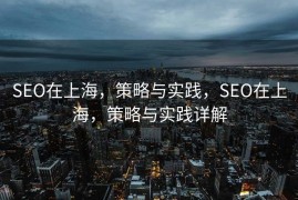 SEO在上海，策略与实践，SEO在上海，策略与实践详解