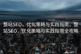 整站SEO，优化策略与实践指南，整站SEO，优化策略与实践指南全攻略