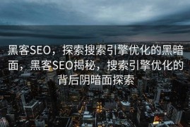 黑客SEO，探索搜索引擎优化的黑暗面，黑客SEO揭秘，搜索引擎优化的背后阴暗面探索