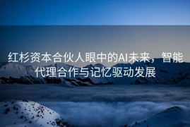 红杉资本合伙人眼中的AI未来，智能代理合作与记忆驱动发展