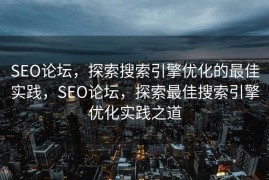 SEO论坛，探索搜索引擎优化的最佳实践，SEO论坛，探索最佳搜索引擎优化实践之道