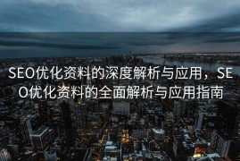 SEO优化资料的深度解析与应用，SEO优化资料的全面解析与应用指南