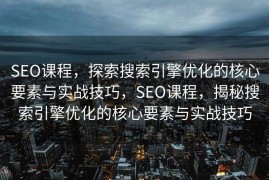 SEO课程，探索搜索引擎优化的核心要素与实战技巧，SEO课程，揭秘搜索引擎优化的核心要素与实战技巧