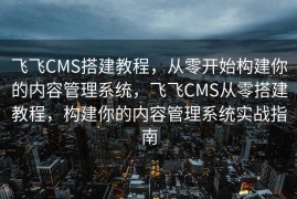飞飞CMS搭建教程，从零开始构建你的内容管理系统，飞飞CMS从零搭建教程，构建你的内容管理系统实战指南