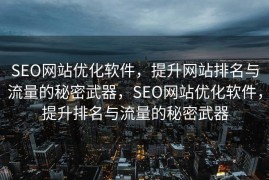 SEO网站优化软件，提升网站排名与流量的秘密武器，SEO网站优化软件，提升排名与流量的秘密武器