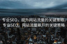 专业SEO，提升网站流量的关键策略，专业SEO，网站流量飙升的关键策略