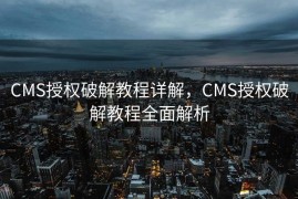 CMS授权破解教程详解，CMS授权破解教程全面解析