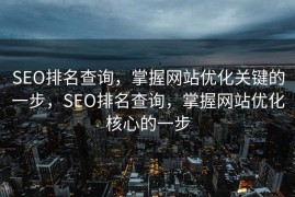 SEO排名查询，掌握网站优化关键的一步，SEO排名查询，掌握网站优化核心的一步