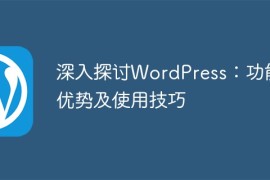 深入探讨WordPress：功能、优势及使用技巧