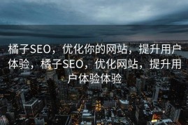 橘子SEO，优化你的网站，提升用户体验，橘子SEO，优化网站，提升用户体验体验