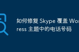 如何修复 Skype 覆盖 WordPress 主题中的电话号码