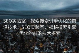 SEO实验室，探索搜索引擎优化的前沿技术，SEO实验室，揭秘搜索引擎优化的前沿技术探索