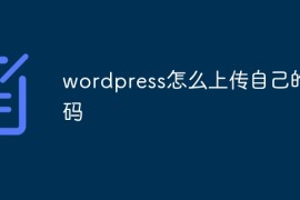 wordpress怎么上传自己的代码